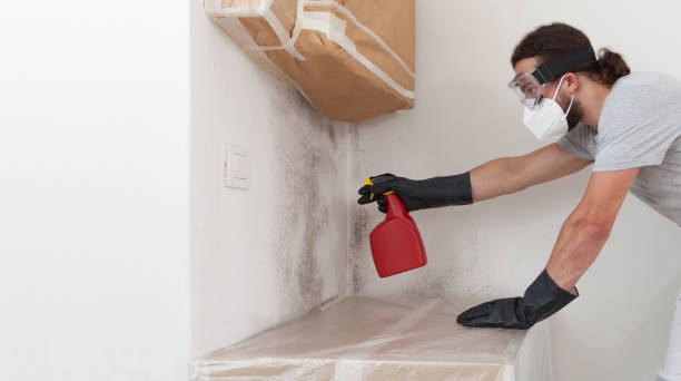Professional Mold Inspection And Testing technician working in Hillsdale, MI