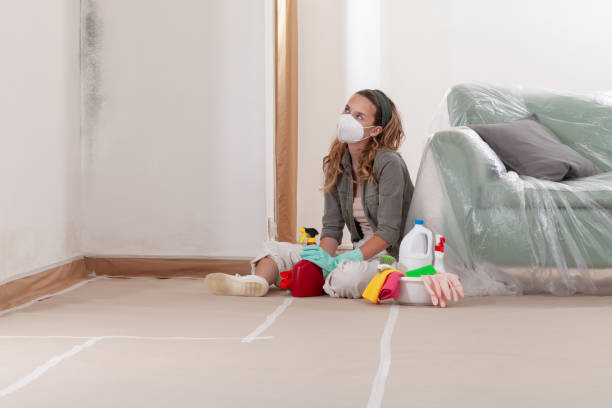 Reliable Mold Inspection And Testing contractor in Hillsdale, MI by Car Mold Remediation